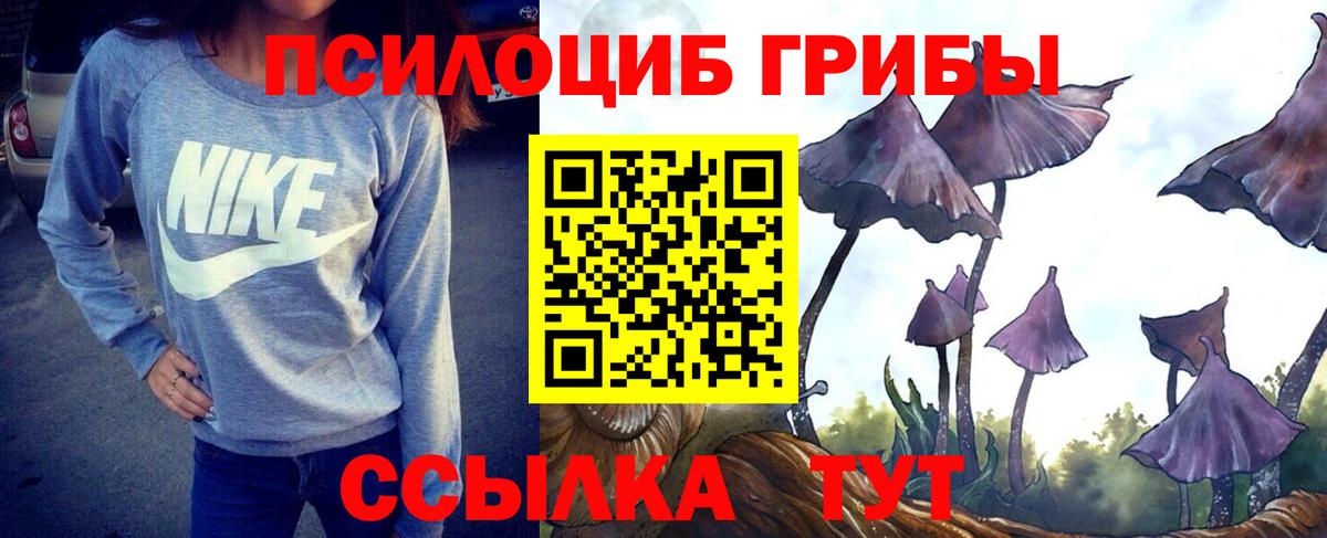 Галлюциногенные грибы мицелий  Галлюциногенные грибы прущие грибы  Вход с VPN  Чита 